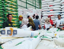 Pasokan dan Stok Haga Bapokting Relatif Stabil Jelang Idul  Fitri 1445 H