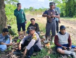 Dikabarkan Hilang, Empat Warga Pencari Burung di Rawa Puunggulahi Konsel Ditemukan Selamat