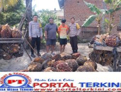 Polsek Megang Sakti Berhasil Menangkap Pelaku Komplotan Pencuri Sawit