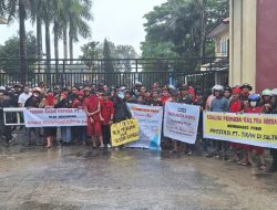 Koalisi Pemuda Sultra Bersatu Menggelar Unras, Ibnu : Kami Mendukung Sepenuhnya PT. Tiran Berinvestasi di Sultra