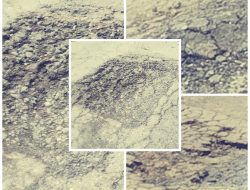 Sebelum Timbul Korban Lakalantas Pemerintah Lubuklinggau Wajib Ambil Tindakan