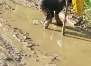 Ruas Jalan Penghubung Desa Cimayon Tak Kunjung ada Perbaikan, Warga Desa Cimoyan Tanam Pisang