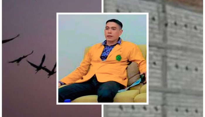 Mahasiswa HTN: Usaha Burung Walet Wajib Taat Aturan Pemkot Lubuklinggau
