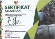 Kabar Gembira, Badak Jawa (Rhinoceros sondaicus) Melahirkan di Taman Nasional Ujung Kulon