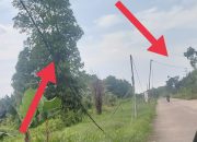 Pemasangan Kabel Listrik di Pontianak Utara Langgar SOP, Warga Khawatirkan Keselamatan!