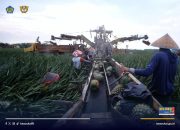 Pemerintah Bebaskan Bea Masuk Importasi Bibit dan Benih untuk Industri Pertanian, Peternakan dan Perikanan