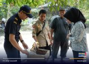 Dorong Ekspor, Bea Cukai dan BSI Asistensi UMKM Produsen Madu di Karimun