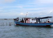 Polemik Pagar Laut Presiden Prabowo Turun Tangan