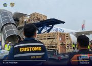 Dukung Ketahanan Pangan Nasional, 834 Ekor Bibit Domba Didatangkan dari Australia