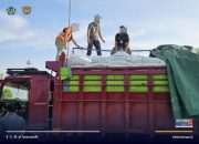 Penindakan 1,5 Juta Batang Rokok Ilegal dalam Truk Pupuk di Ogan Ilir