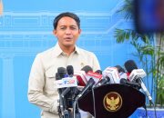 Presiden Prabowo Panggil Menteri Kehutanan, Bahas Keseimbangan Pembangunan dan Pelestarian Hutan