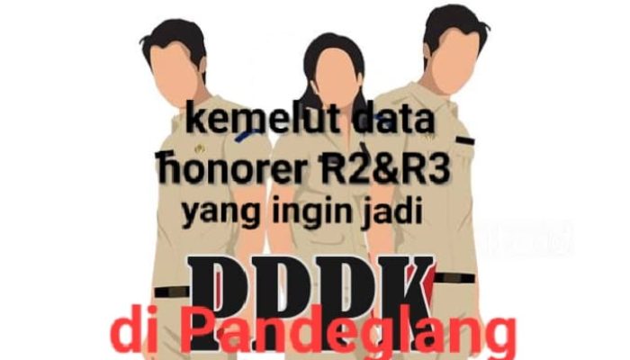 Sebelum Angkat PPPK Pemda Pandeglang dan Pemerintah pusat Harus Pastikan Tenaga Honorer Tidak Ada yang Dobel Job Pekerjaan