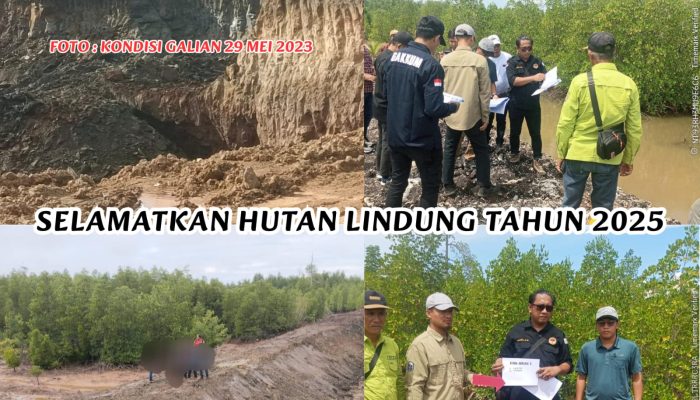 Gakkumhutwil Sulawesi Mulai Tidak Transparan Soal PT WIN, LSM LPMT Sultra: KLHK RI Perlu Minum Obat Tolak Angin