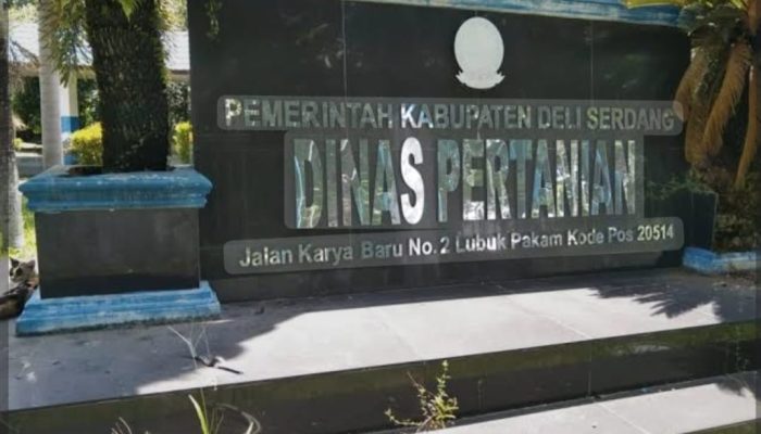 PLT Kabid Sarana dan Prasarana Diduga Sabotase Ketahanan Pangan Nasional di Batang Kuis