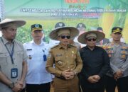 Bupati Konawe Canangkan Penanaman Jagung Hibrida, Dorong Ketahanan Pangan dan Ekonomi Rakyat