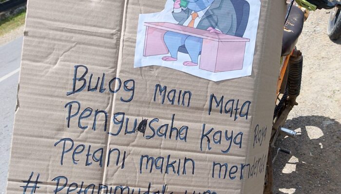 Pemda Koltim Siap Kawal HPP Gabah Sesuai Instruksi Presiden