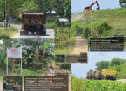 Polres Kolaka Seakan Tak Punya Taring untuk Menangkap: Penambang Pasir Ilegal di Tiga Kecamatan Semakin Tak Terbendung