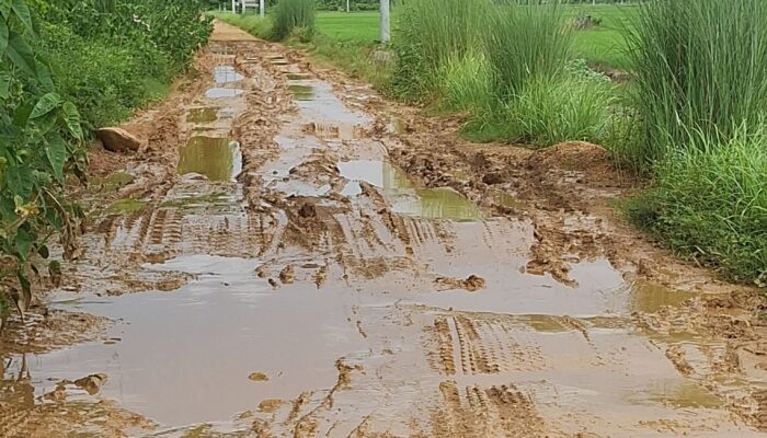 Efek Tambang Pasir Ilegal Jalan Rusak Seperti Kubangan Kerbau: Propam Polda Sultra Diminta Evaluasi Kinerja Polsek Watubangga
