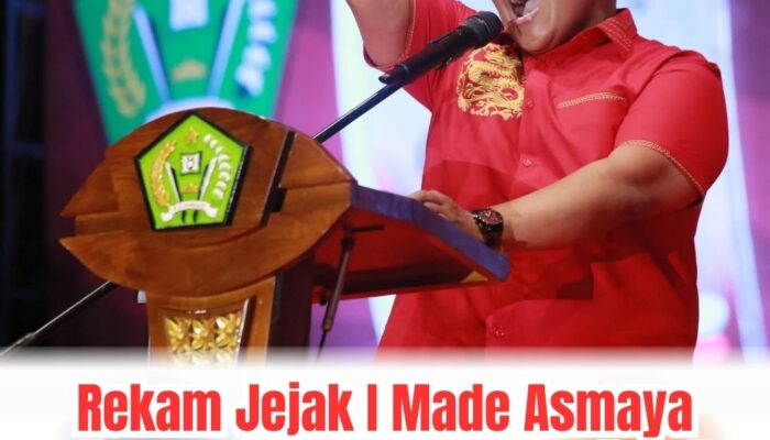 Rekam Jejak I Made Asmaya Figur Politisi Dunia Organisasi dan Pemerintah
