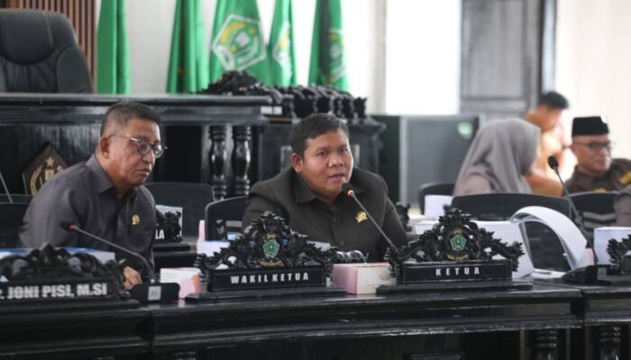 Hari Desa Nasional, Ketua DPRD Konawe: Desa Adalah Jantung Pembangunan