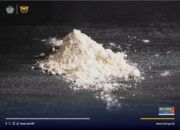 Bea Cukai dan BNN Gagalkan Penyelundupan 60 Kg Methamphetamine di Peureulak Timur