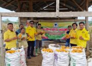 Ketua DPD Partai Golkar Kabupaten Way Kanan Hadiri Panen Raya Jagung di Kecamatan Baradatu