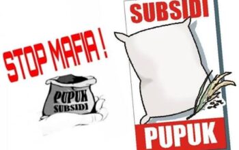 Harga Pupuk Subsidi di Desa Patia Melebihi HET, Petani Kecil Menjerit