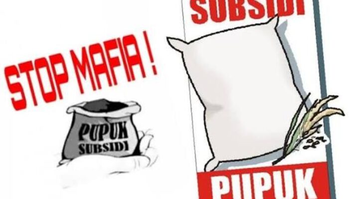 Harga Pupuk Subsidi di Desa Patia Melebihi HET, Petani Kecil Menjerit