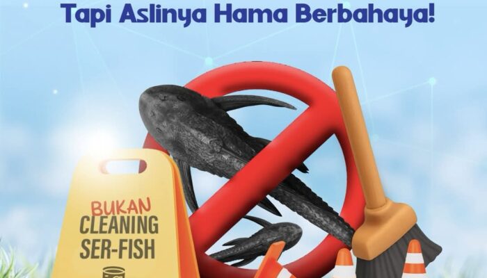Sering Dianggap Ikan Pembersih, Ternyata Ikan Sapu-Sapu Ancaman Nyata di Perairan
