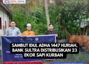 Sambut Idul Adha 1447 Hijriah, Bank Sultra Distribusikan 23 Ekor Sapi Kurban