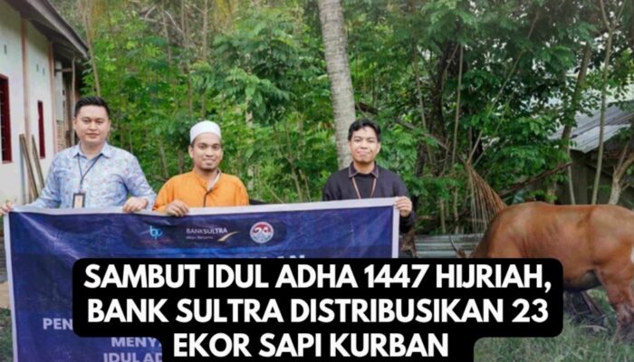 Sambut Idul Adha 1447 Hijriah, Bank Sultra Distribusikan 23 Ekor Sapi Kurban