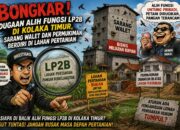 BPK Perwakilan Provinsi Sulawesi Tenggara Bongkar Dugaan Alih Fungsi LP2B di Kolaka Timur, Sarang Walet dan Permukiman Berdiri di Lahan Pertanian