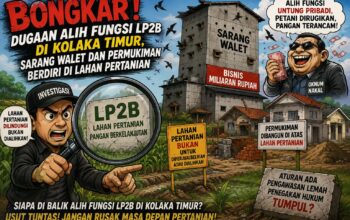 BPK Perwakilan Provinsi Sulawesi Tenggara Bongkar Dugaan Alih Fungsi LP2B di Kolaka Timur, Sarang Walet dan Permukiman Berdiri di Lahan Pertanian