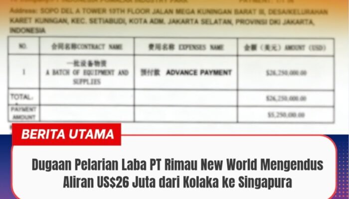 Dugaan Pelarian Laba PT Rimau New World Mengendus Aliran US$26 Juta dari Kolaka ke Singapura