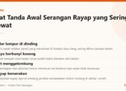 Tujuh Tanda Awal Rumah Diserang Rayap yang Sering Terlewat