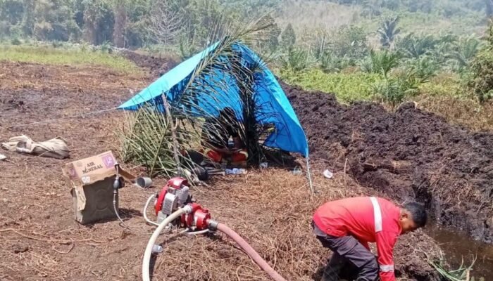 BPBD Koltim Berjibaku Padamkan Karhutla di Dua Titik