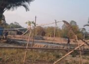 Penambangan Pasir Diduga Ilegal di Rambu Kongga Disorot, Polres Konawe Diminta Bertindak