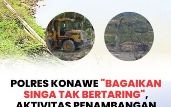 Polres Konawe “Bagaikan Singa tak Bertaring”, Aktivitas Penambangan Pasir di Desa Belatu Semakin Merajalela