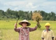 BULOG Cetak Rekor Sepanjang Sejarah, Pengadaan Beras Melampaui 4 Juta Ton