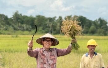 BULOG Cetak Rekor Sepanjang Sejarah, Pengadaan Beras Melampaui 4 Juta Ton