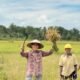 BULOG Cetak Rekor Sepanjang Sejarah, Pengadaan Beras Melampaui 4 Juta Ton